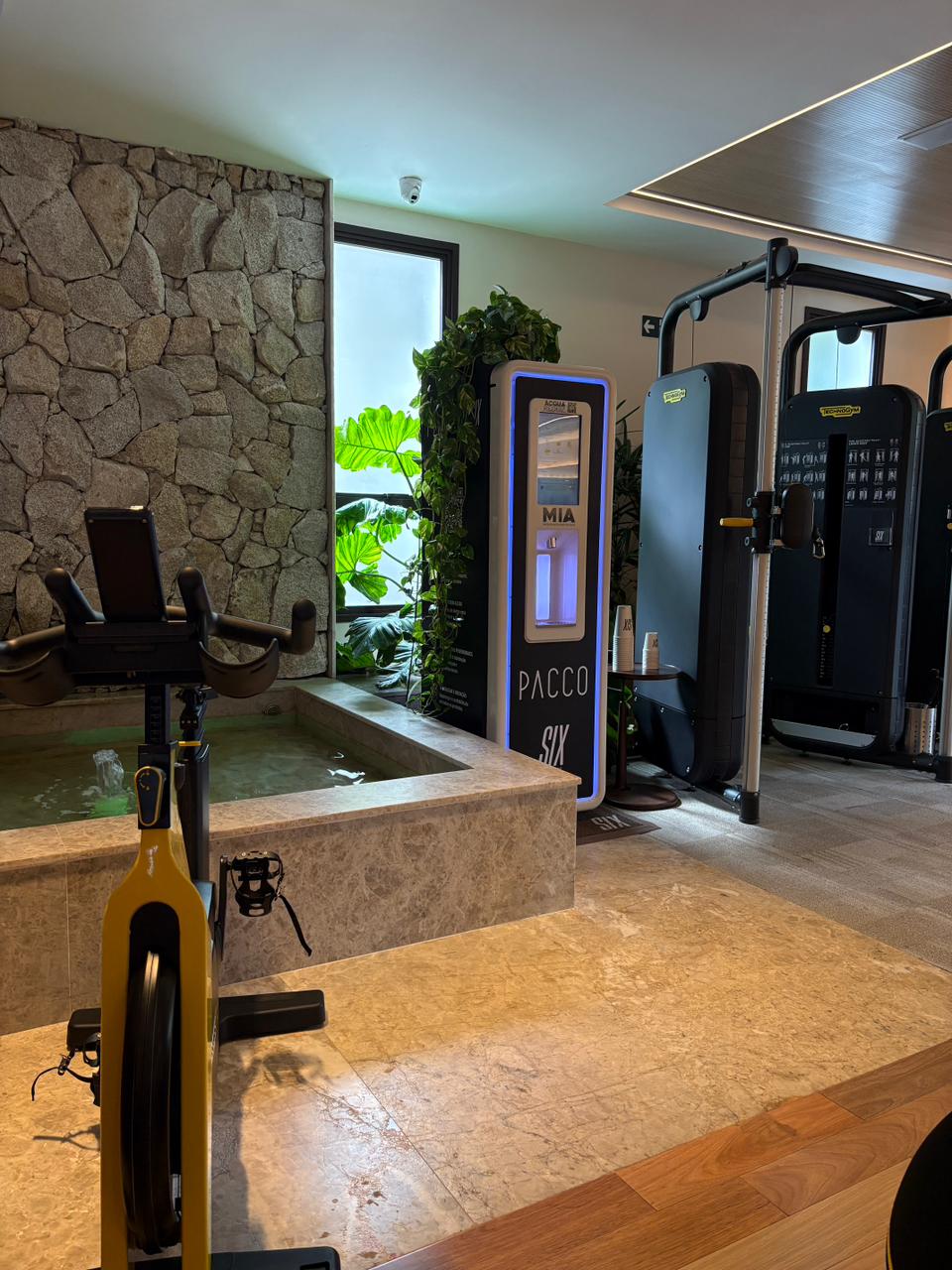 Purificatta instalada na área de treino de uma academia