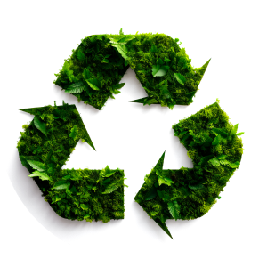 Sustentabilidade
